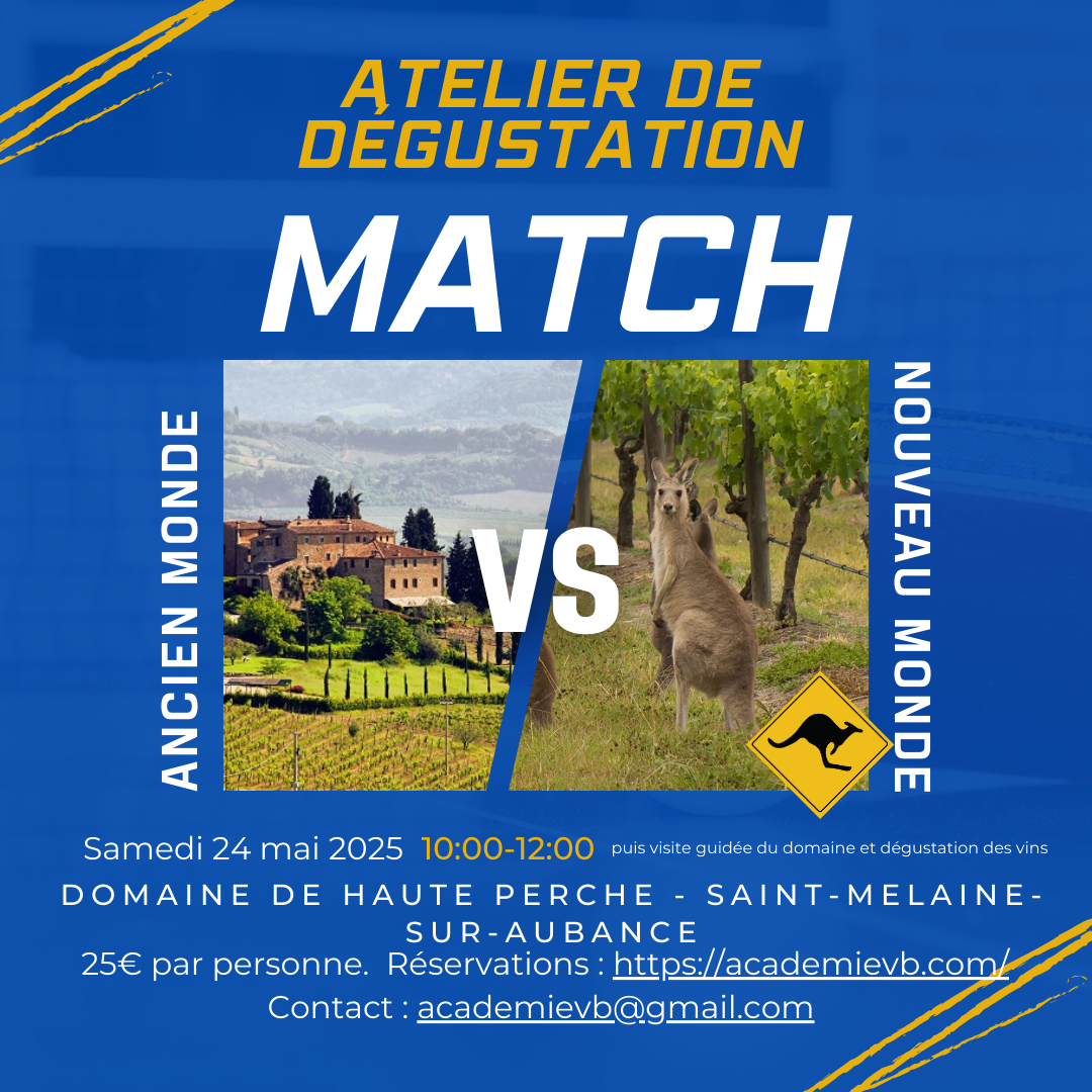 Atelier : les vins de l'ancien monde VS le nouveau monde